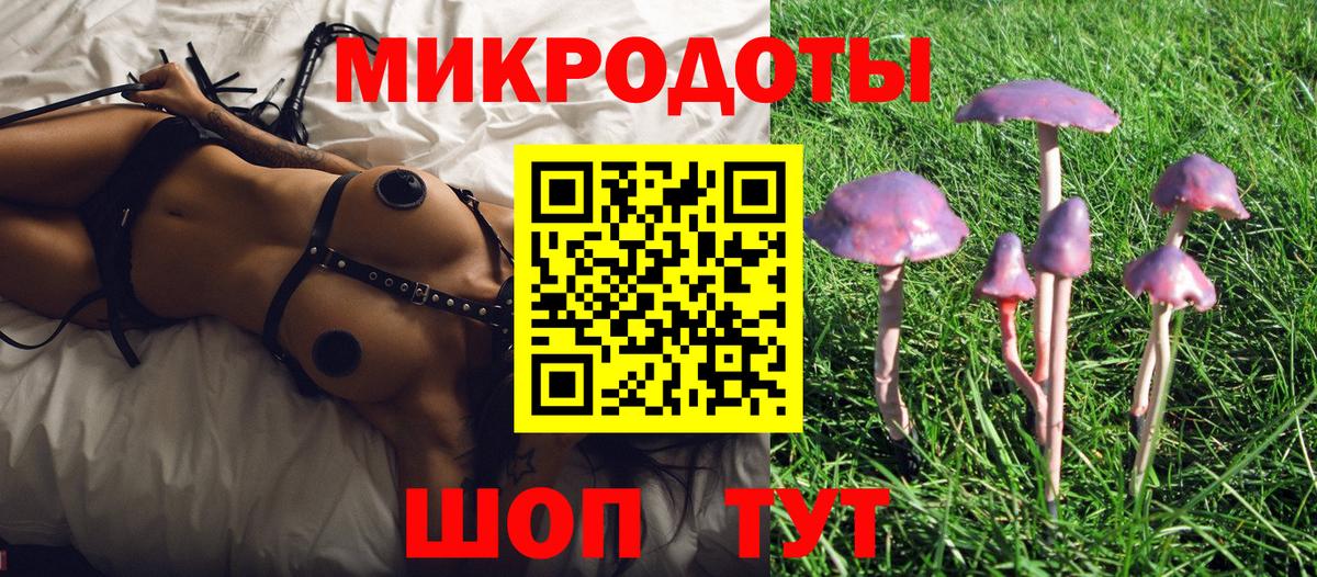 Галлюциногенные грибы ЛСД Камень-на-Оби