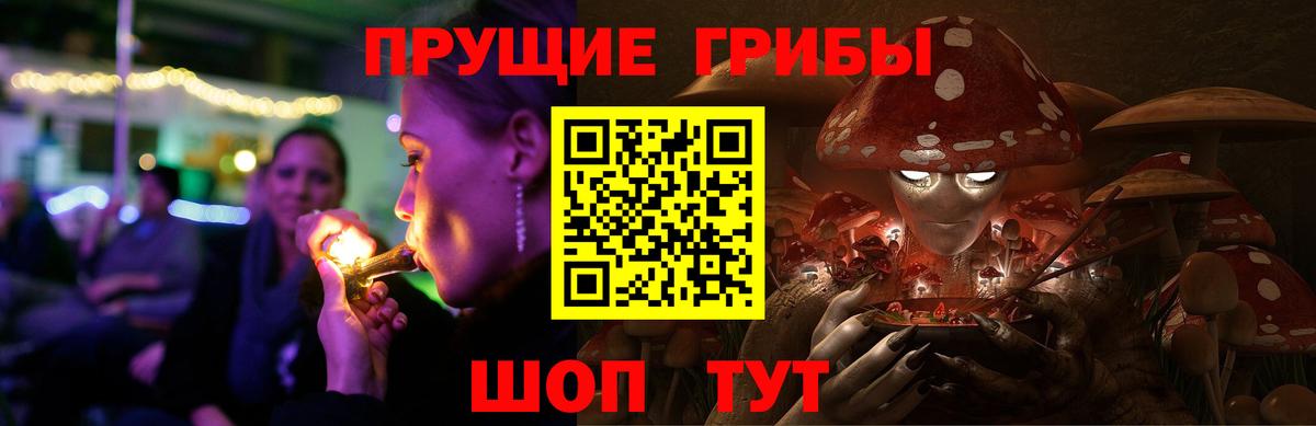 Галлюциногенные грибы Cubensis  Вход с VPN  Камень-на-Оби 